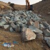 فروش معدن سنگ لاشه ۴۰ هکتاری در لوشان